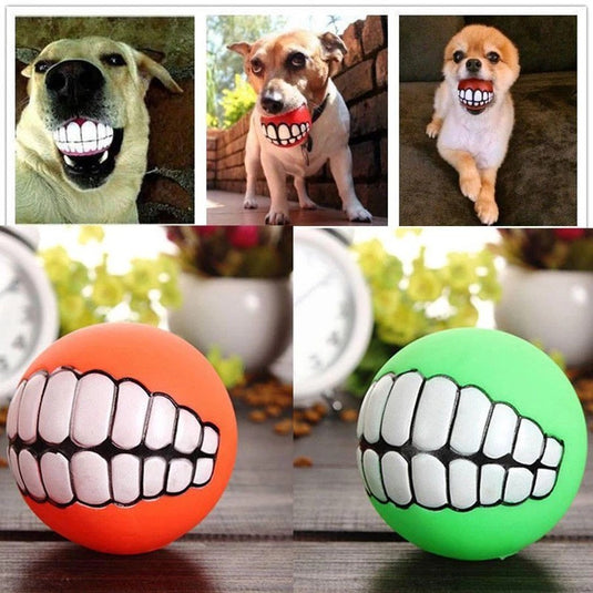 Funny Dog Ball , Funny Denture Ball - Trendibo